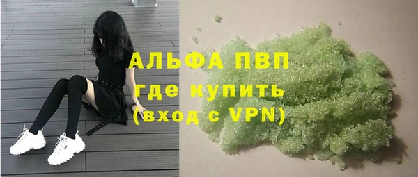 амф Новодвинск