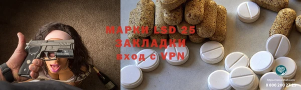 амф Новодвинск