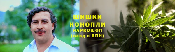 ГАЛЛЮЦИНОГЕННЫЕ ГРИБЫ Новозыбков