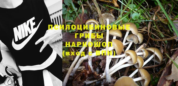 ешки Болотное