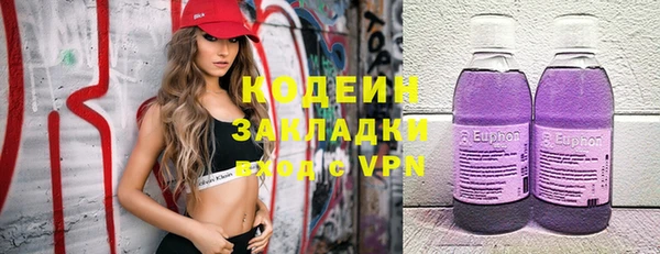 ГАЛЛЮЦИНОГЕННЫЕ ГРИБЫ Новозыбков