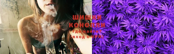 ГАЛЛЮЦИНОГЕННЫЕ ГРИБЫ Новозыбков