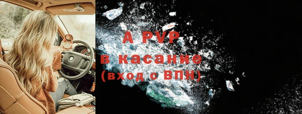 амф Новодвинск
