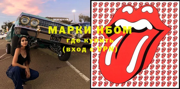 амф Новодвинск