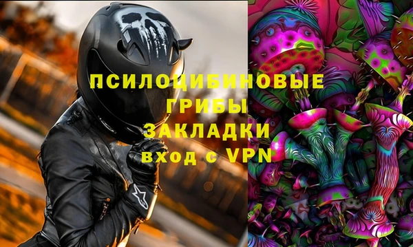 амф Новодвинск